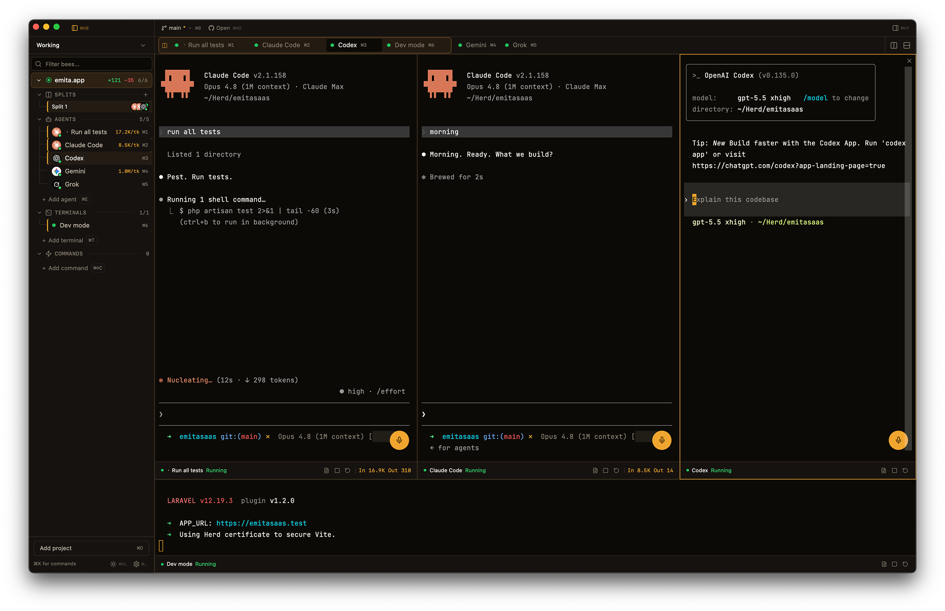 HiveTerm split panes — Claude Code, Codex and a dev server running side by side in one window